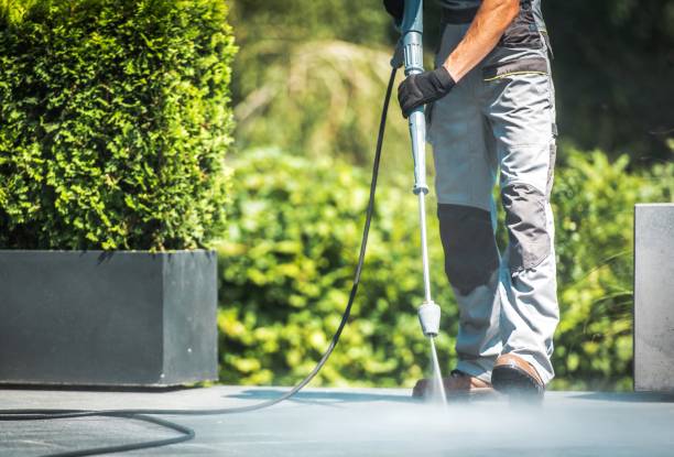 Best Fence Cleaning  in Memphis, FL