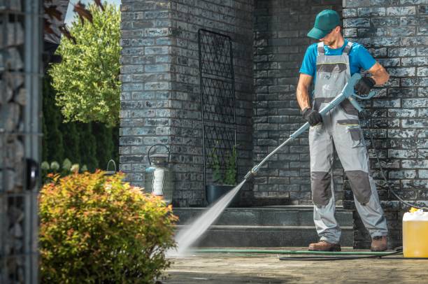 Best Animal Enclosure Cleaning  in Memphis, FL