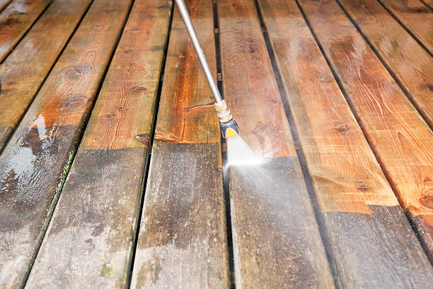 Animal Enclosure Cleaning in Memphis, FL